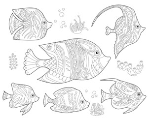 Contour linear illustration. Set  with fishes and ocean corals for coloring book. Cute objects, anti stress picture. Line art design for adult or kids in zentangle style and coloring page.
