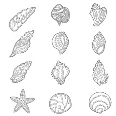 Set with different sea shells. Contour linear illustration for coloring book. Anti stress picture. Line art design for adult or kids in zentangle style and coloring page.