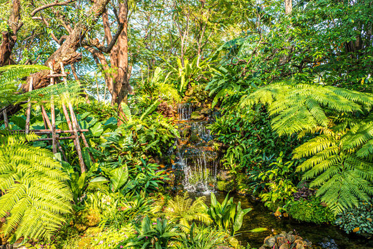 https://www.shutterstock.com/image-photo/group-background-dark-green-tropical-leaves-2024853305
