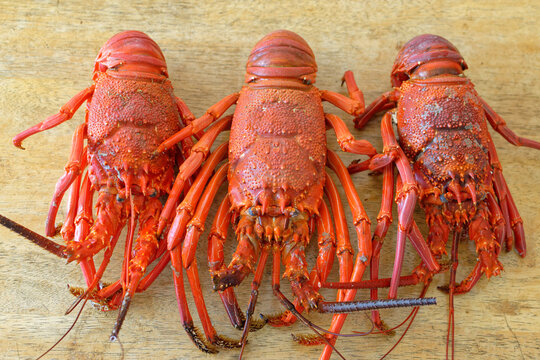 Nuku Hiva (&icirc;les marquises) : langoustes cuites