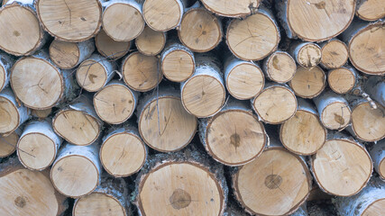 Birch round firewood with bark stacked on top of each other