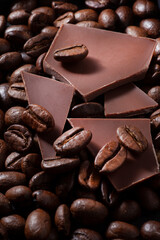 roasted coffee flavor dark chocolate