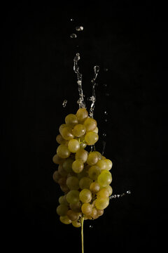 Bunch of green ripe sweet grapes with splashing water and droplets against black background representing healthy eating concept and clean food. Vertical image