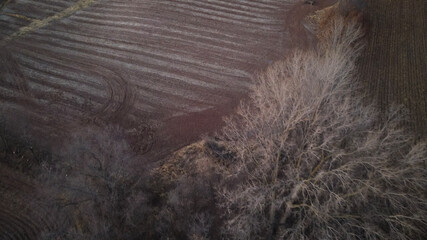 Edge of agriculture field with trees in autumn