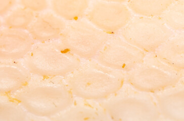 Scorched goose skin as background.