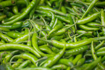 Heap of green Cayenne pepper. Capsicum annuum. It is usually a moderately hot chili pepper used to flavor dishes.