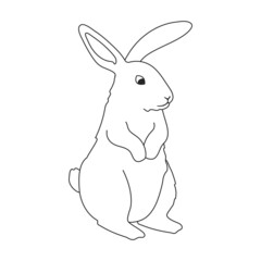 Rabbit vector outline icon. Vector illustration bunny on white background. Isolated outline illustration icon of rabbit.