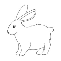 Rabbit vector outline icon. Vector illustration bunny on white background. Isolated outline illustration icon of rabbit.