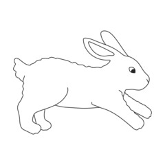Rabbit vector outline icon. Vector illustration bunny on white background. Isolated outline illustration icon of rabbit.