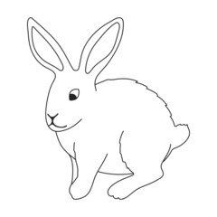 Rabbit vector outline icon. Vector illustration bunny on white background. Isolated outline illustration icon of rabbit.