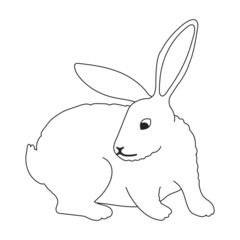 Rabbit vector outline icon. Vector illustration bunny on white background. Isolated outline illustration icon of rabbit.