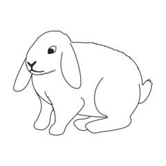 Fototapeta premium Rabbit vector outline icon. Vector illustration bunny on white background. Isolated outline illustration icon of rabbit.