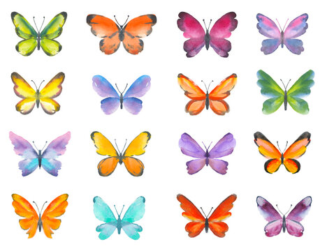 Set of watercolor butterflies. Hand drawn illustration of colorful butterflies isolated on white background