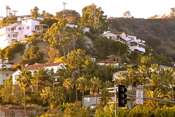 Houses and palm trees in the hills above the Sunset Strip in West Hollywood