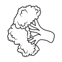 Cauliflower vector icon.Outline vector icon isolated on white background cauliflower.