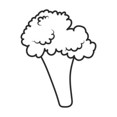 Cauliflower vector icon.Outline vector icon isolated on white background cauliflower.