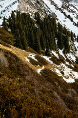 trail in the mountains in winter