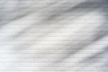 Shadow of plam leave on white brick wall background with copy space