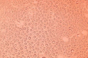 water drops on red background