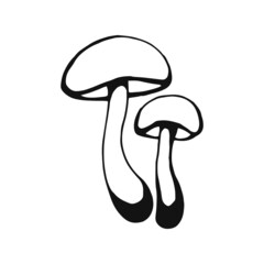 Hand drawn mushroom outline. Line art style isolated on white background.