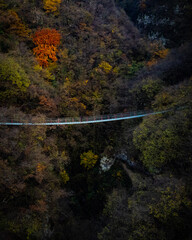 A tibetan Bridge with the Autumncolours of the Trees