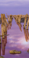 Pillars in the lake with rose water, salt mining. Lake Sasyk-Sivash.