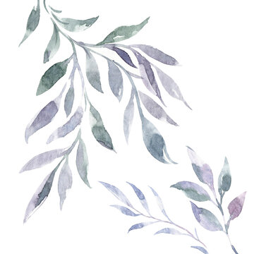 Beautiful image with gentle watercolor hand drawn purple flowers bouquet. Stock illustration.