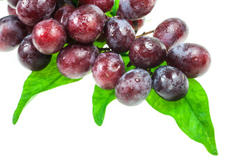 Grapes on white background.