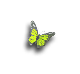 Top view, Single yellow butterfly flying isolated white background for stock photo design or advertise product