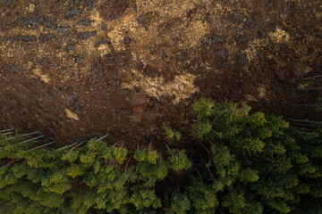 Massive deforestation. Aerial view of a forest with a lot of trees that have been cut. A danger for the environment.