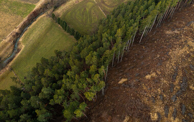 Massive deforestation. Aerial view of a forest with a lot of trees that have been cut. A danger for the environment.