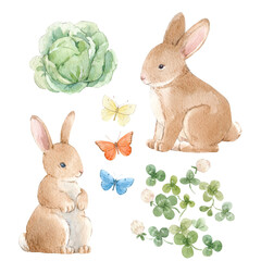 Beautiful set with cute watercolor hand drawn rabbits and cabbage. Stock illustration.