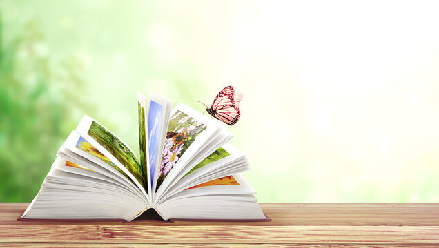 Book of nature. Horizontal banner with book open and butterfly on wood table
