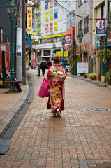 着物　晴れ着　成人式　女性　日本
