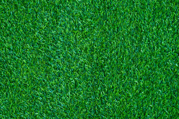 Fototapeta premium Green grass background, football field