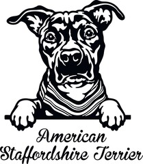 American Staffordshire Terrier Peeking Dog - head isolated on white