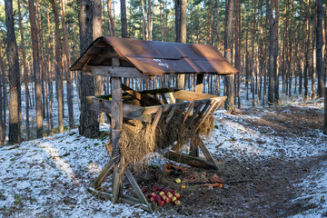 Paśnik, karmnik dla dzikich zwierząt zimą w lesie