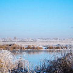 Ice on a small winter pond. Meadows, bushes and trees covered with frost. Fabulous Winter landscape