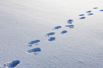 footprints on white snow in winter, footprints go across the snowfield