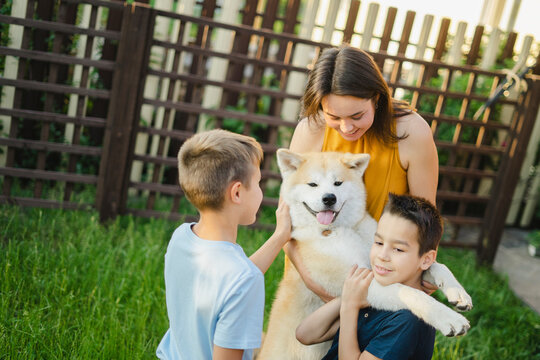 Happy family playing with Akita dog on grass
