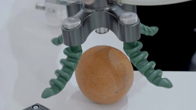 The four-fingered capture uses a vacuum to squeeze or unclench the rubber fingers and can very carefully and gently carry various fragile and delicate objects. Closeup