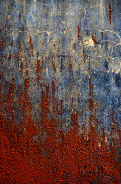 Red algae overgrowing old wall