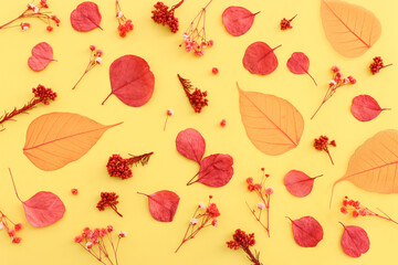 Top view image of autumn forest natural composition over yellow background .Flat lay