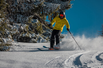 Young person is skiing on a fresh snow powder surface on a sunny day between the trees. Frontal view of a skier rushing down the slope. © Anze
