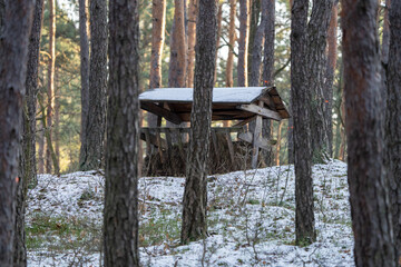 Paśnik, karmnik dla dzikich zwierząt zimą w lesie