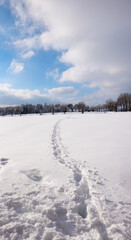 Fototapeta na wymiar foothpath over snowy field, vertical format