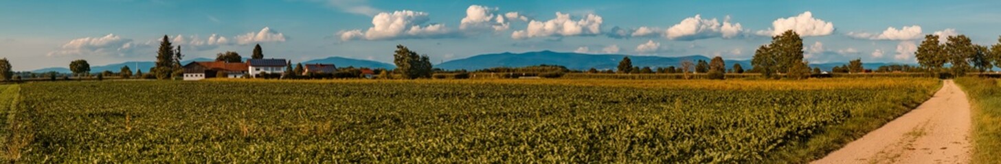 High resolution stitched panorama with the famous Bavarian forest in the background near Tabertshausen, Bavaria, Germany