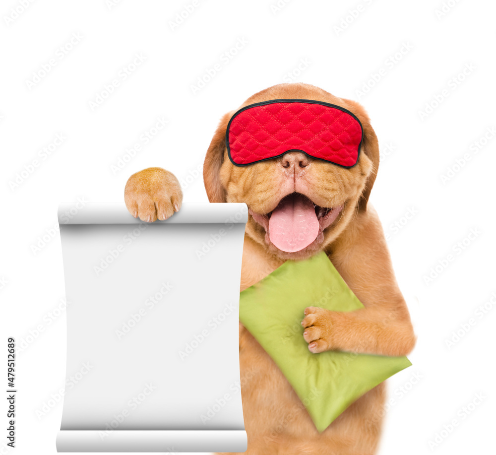 Poster yawning mastiff puppy wearing mask for sleep holds a pillow and shows empty list. isolated on white 