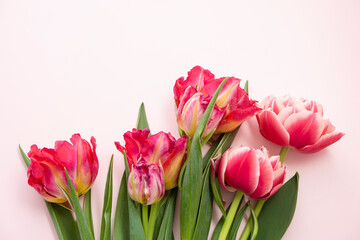 Composition for Valentine's and Mother's Day and March 8 Women's Day. Tulip flowers, and two red hearts on a pastel pink background with copy space. Valentine's day, mother's day, womens  day 