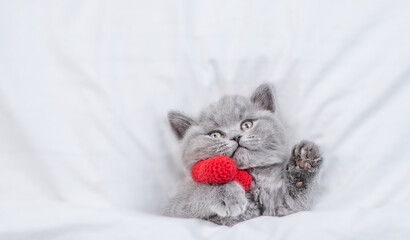 Cute kitten holds red heart on a bed under warm white blanket. Valentines day concept. Top down view